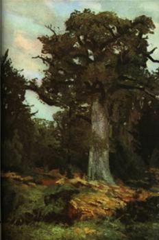 Ion Andreescu : The oak